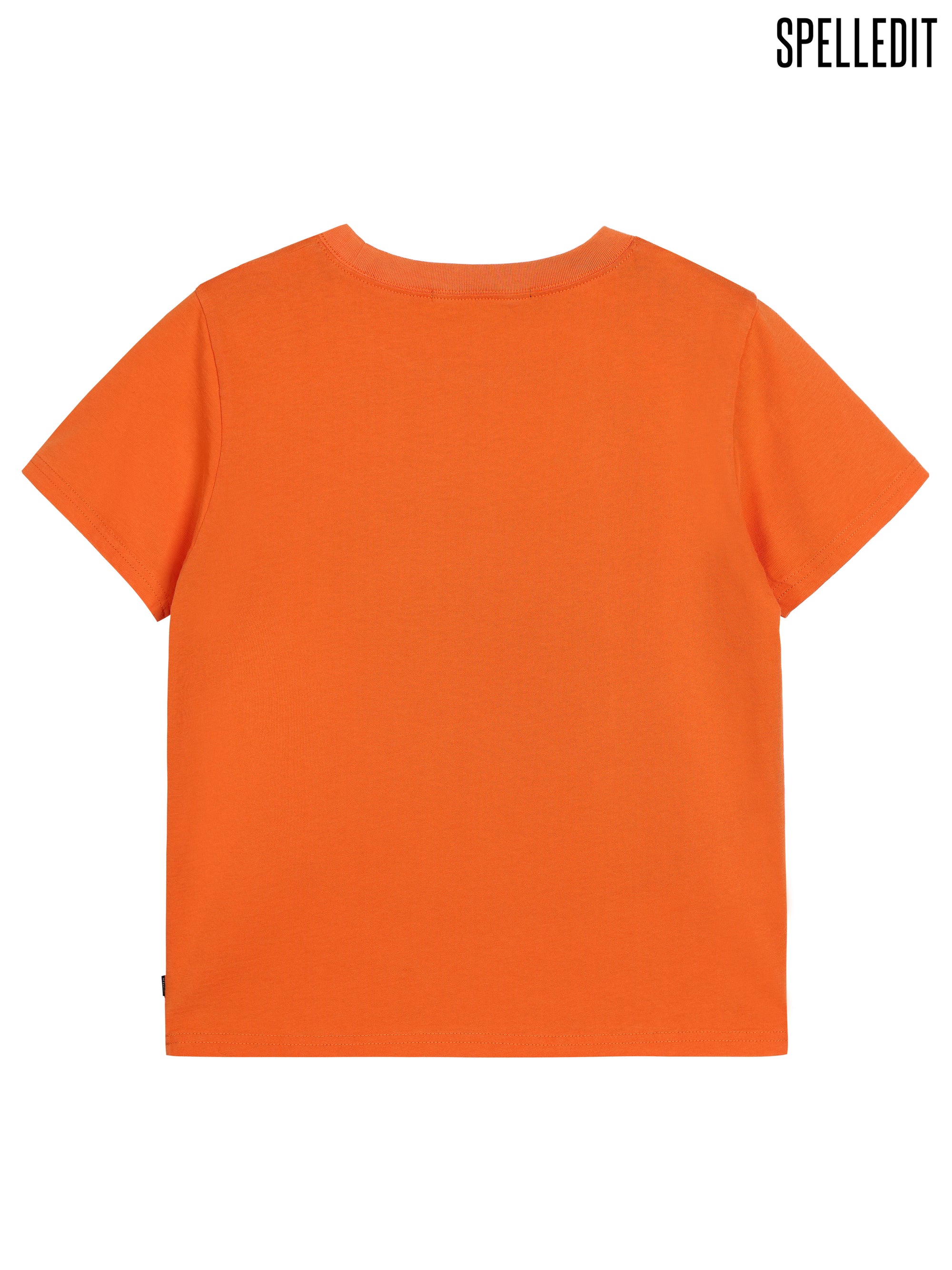 ACCLAIMED AUTHOER T-SHIRT