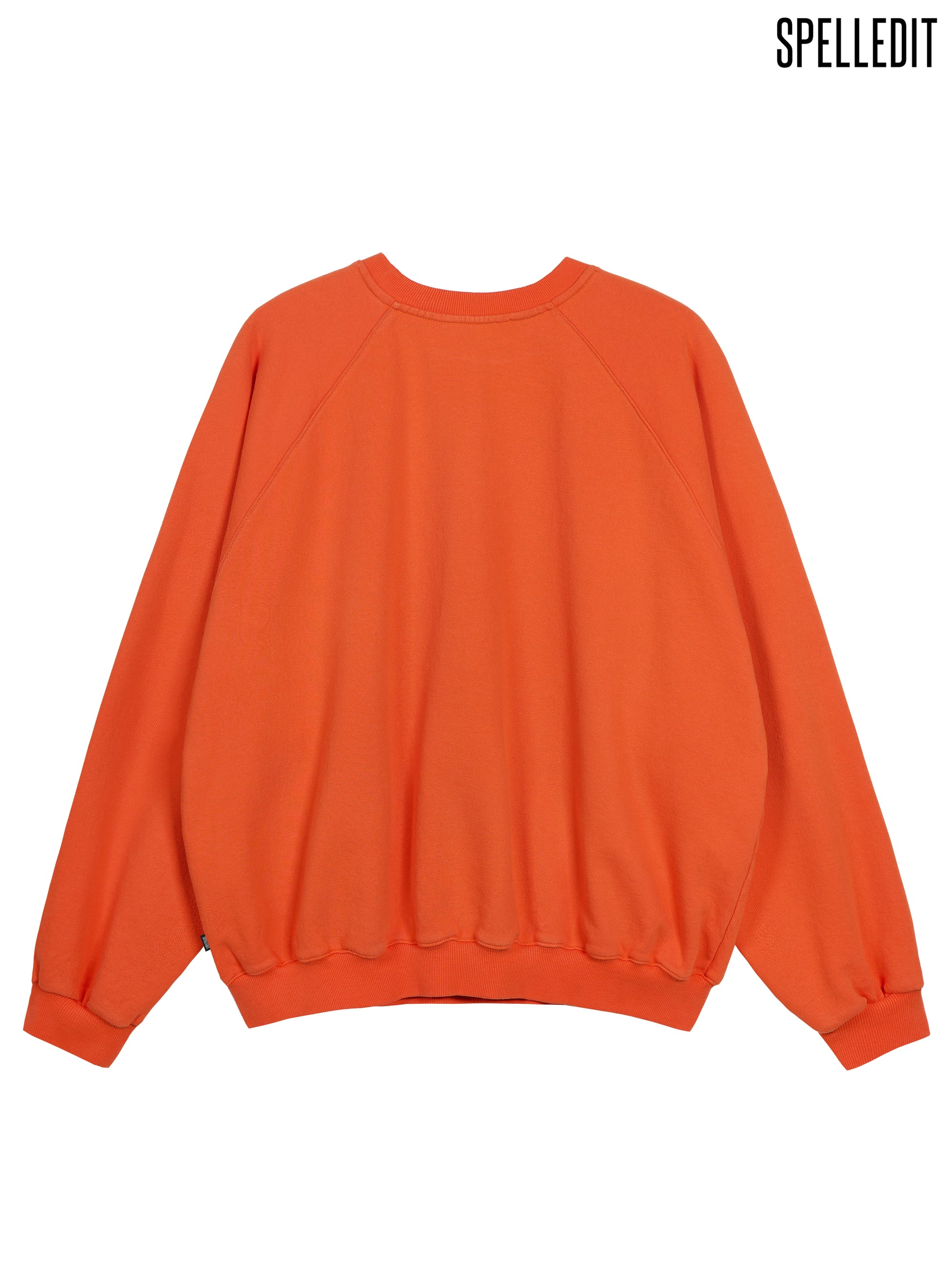 MICHIGAN RAGLAN SWEATSHIRT