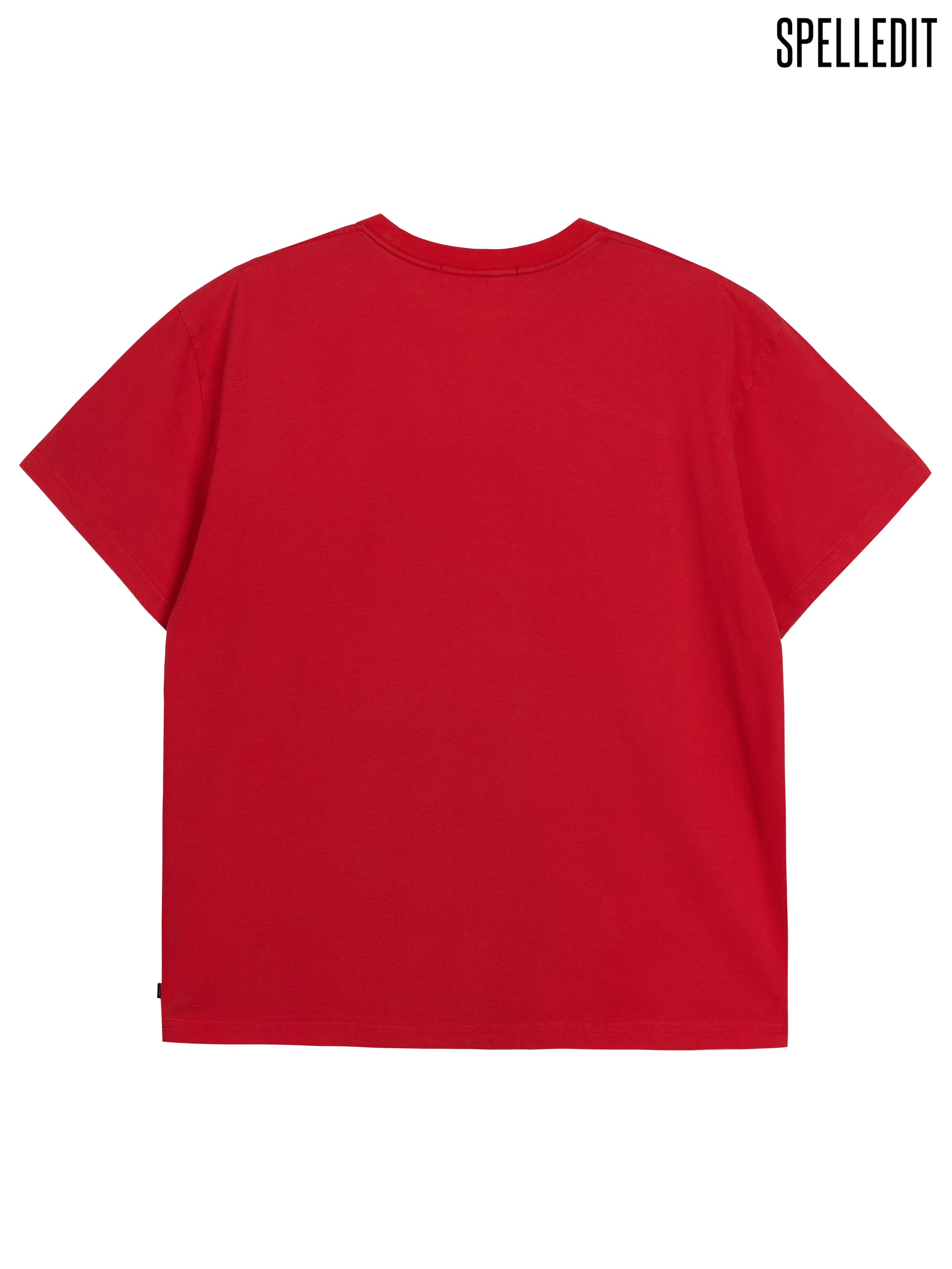 BIG LOGO T-SHIRT