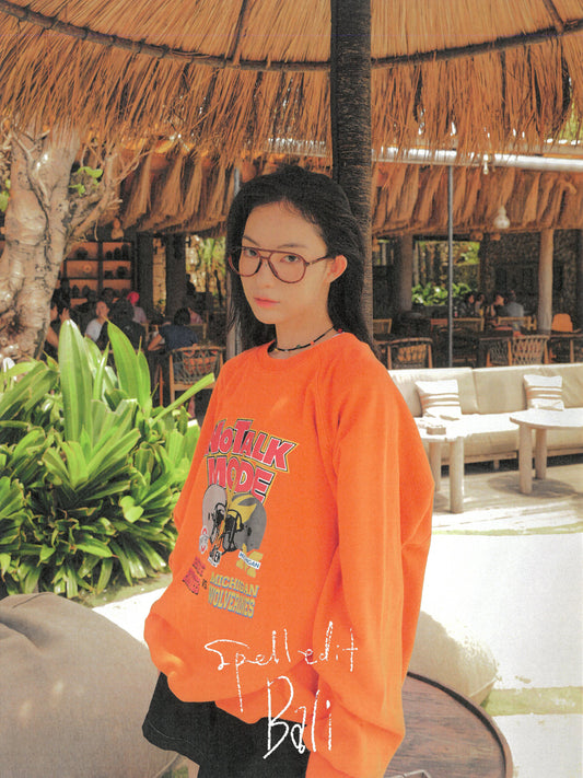 MICHIGAN RAGLAN SWEATSHIRT