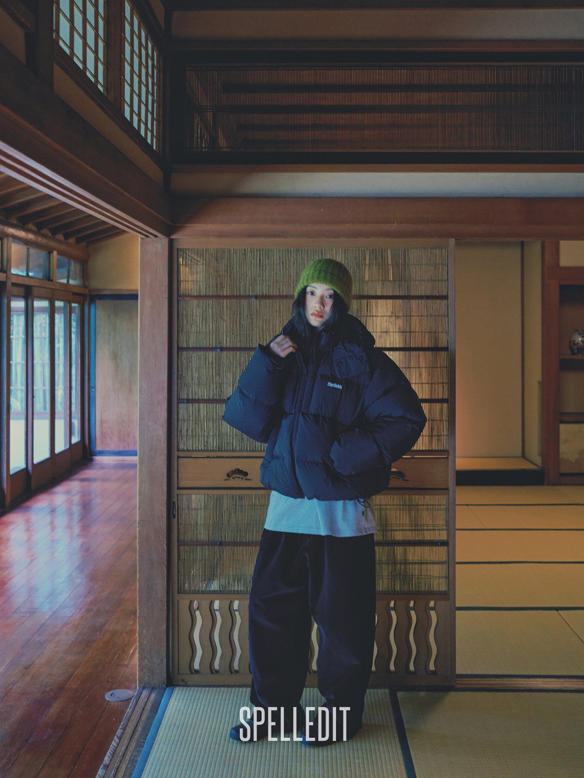 Hoodie detachable Puffer jacket
