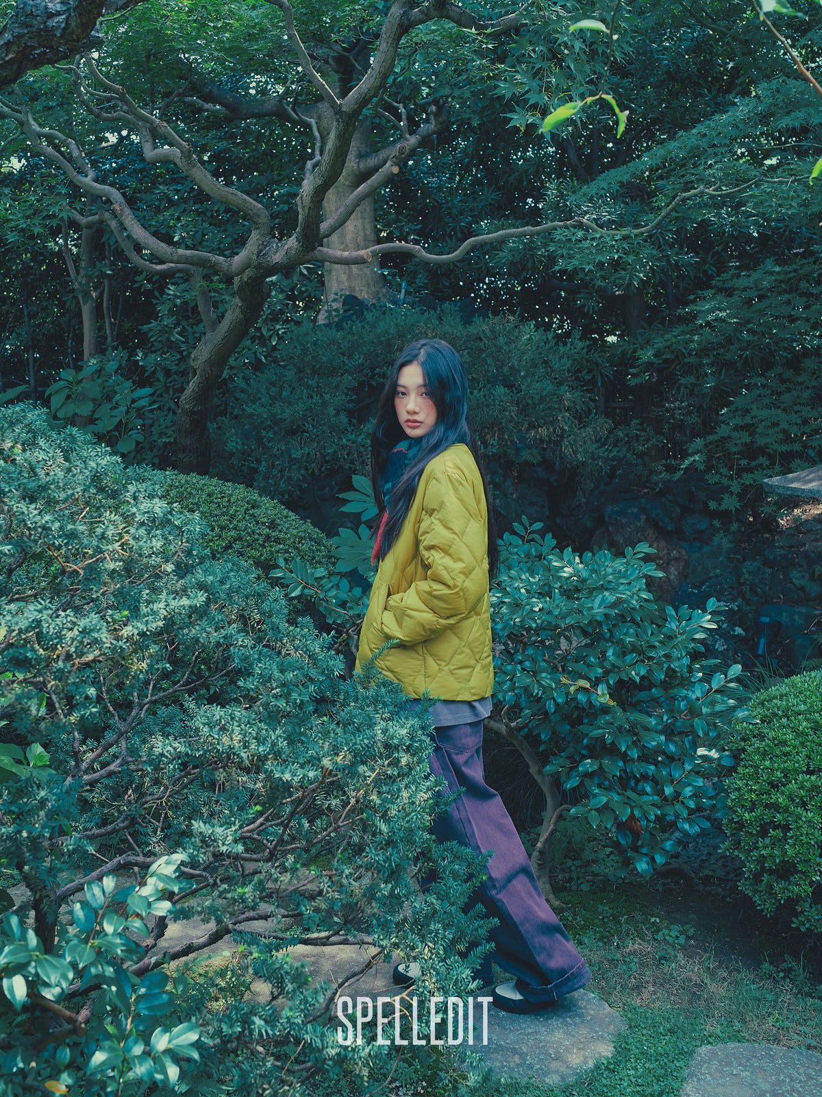 Lightweight Puffer Jacket
