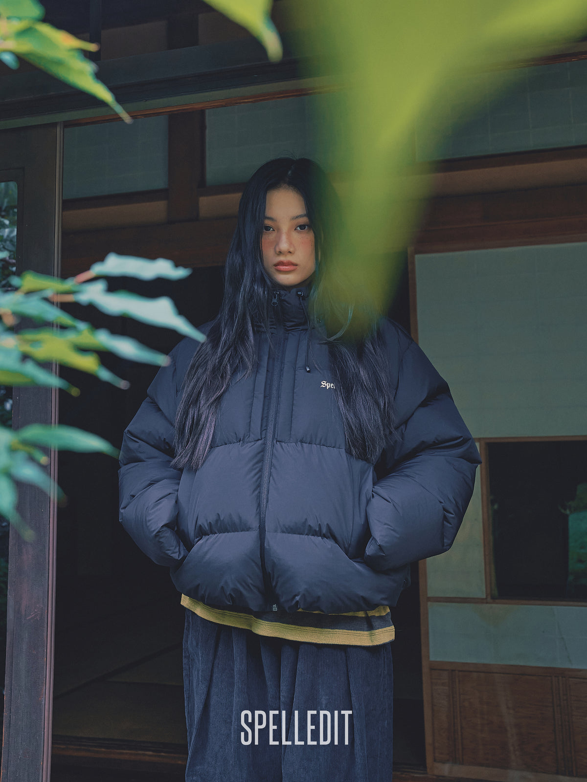 Hoodie detachable Puffer jacket
