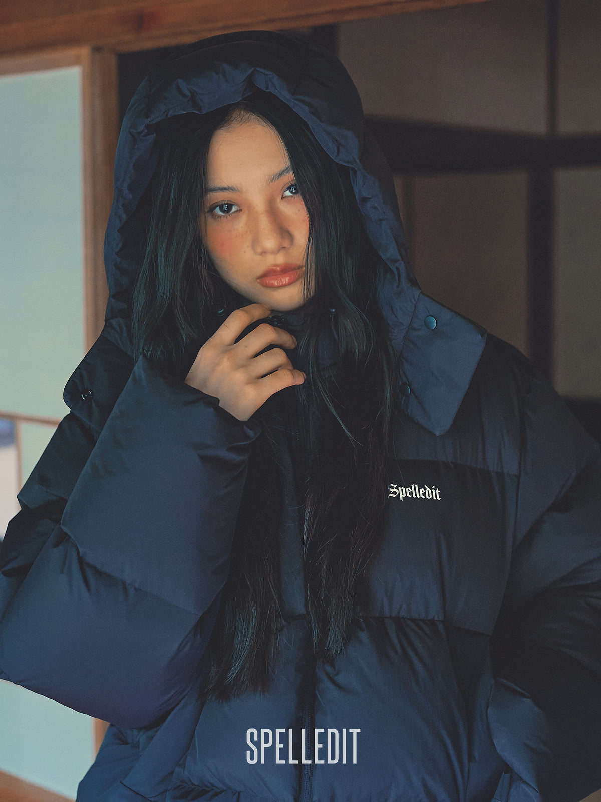 Hoodie detachable Puffer jacket
