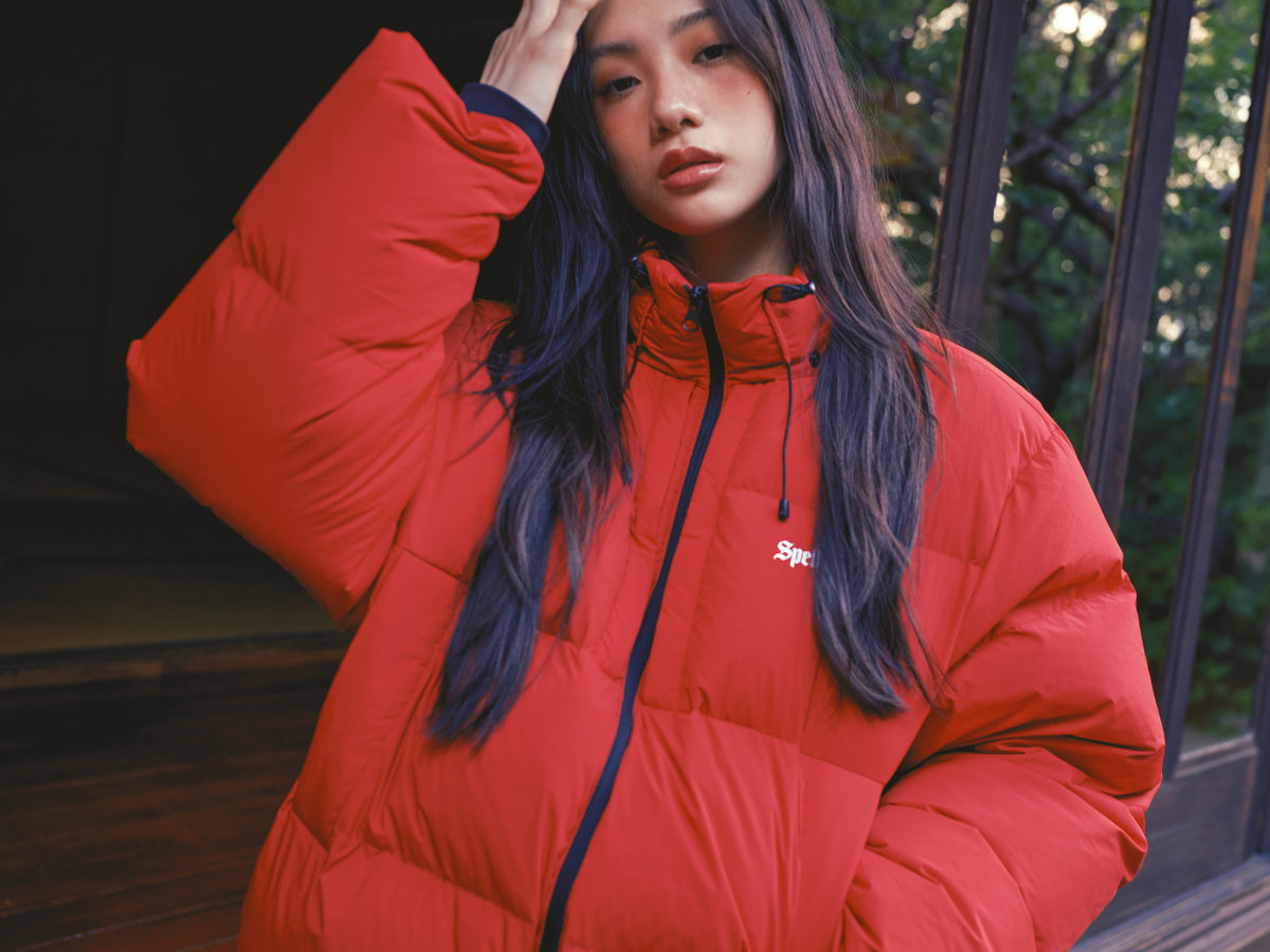 Hoodie detachable Puffer jacket