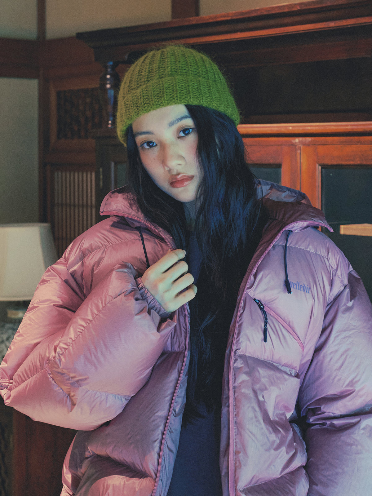 Glossy Puffer