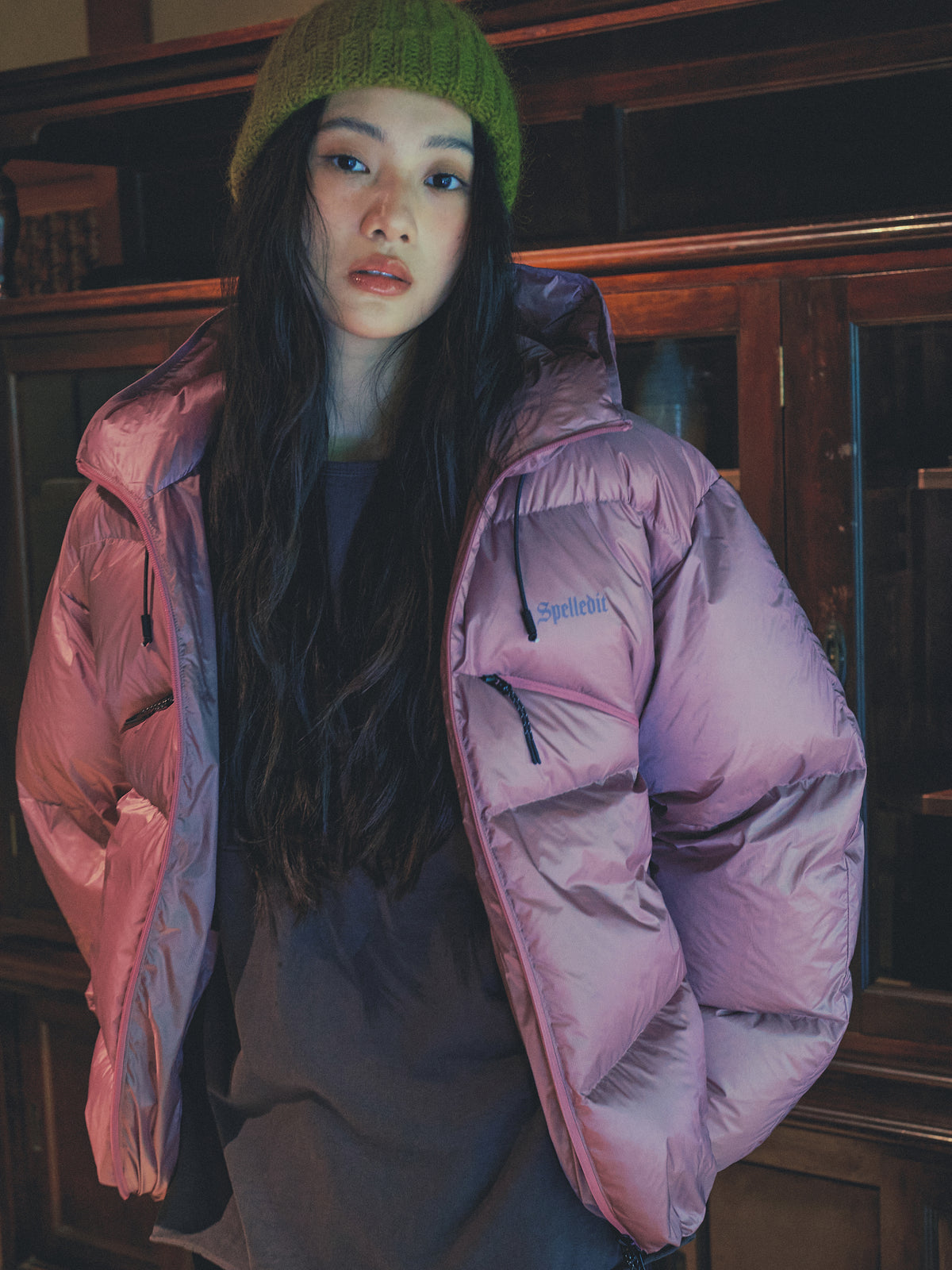 Glossy Puffer