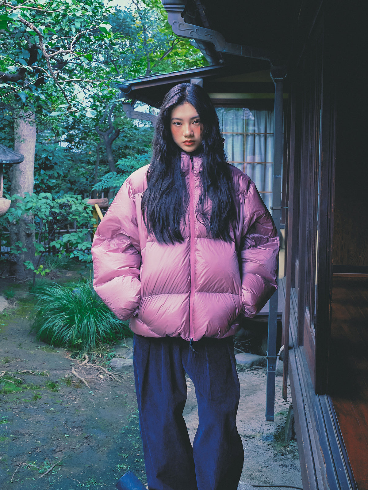 Glossy Puffer